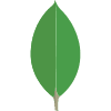 MongoDB